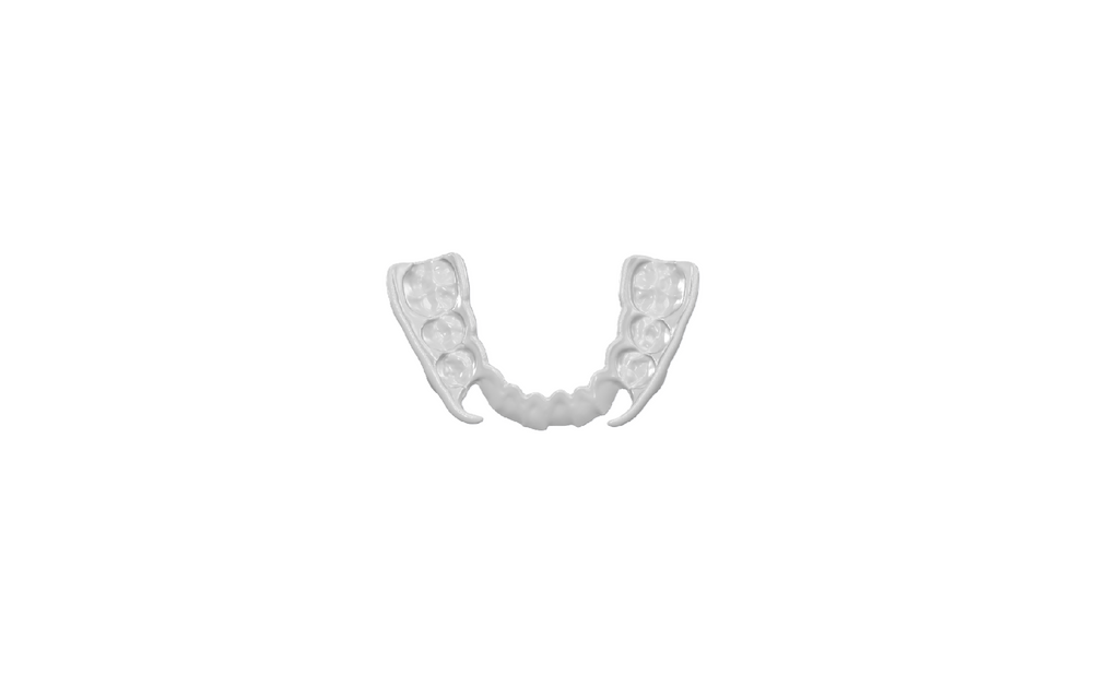 Performance Mouthguard (Middleweight)