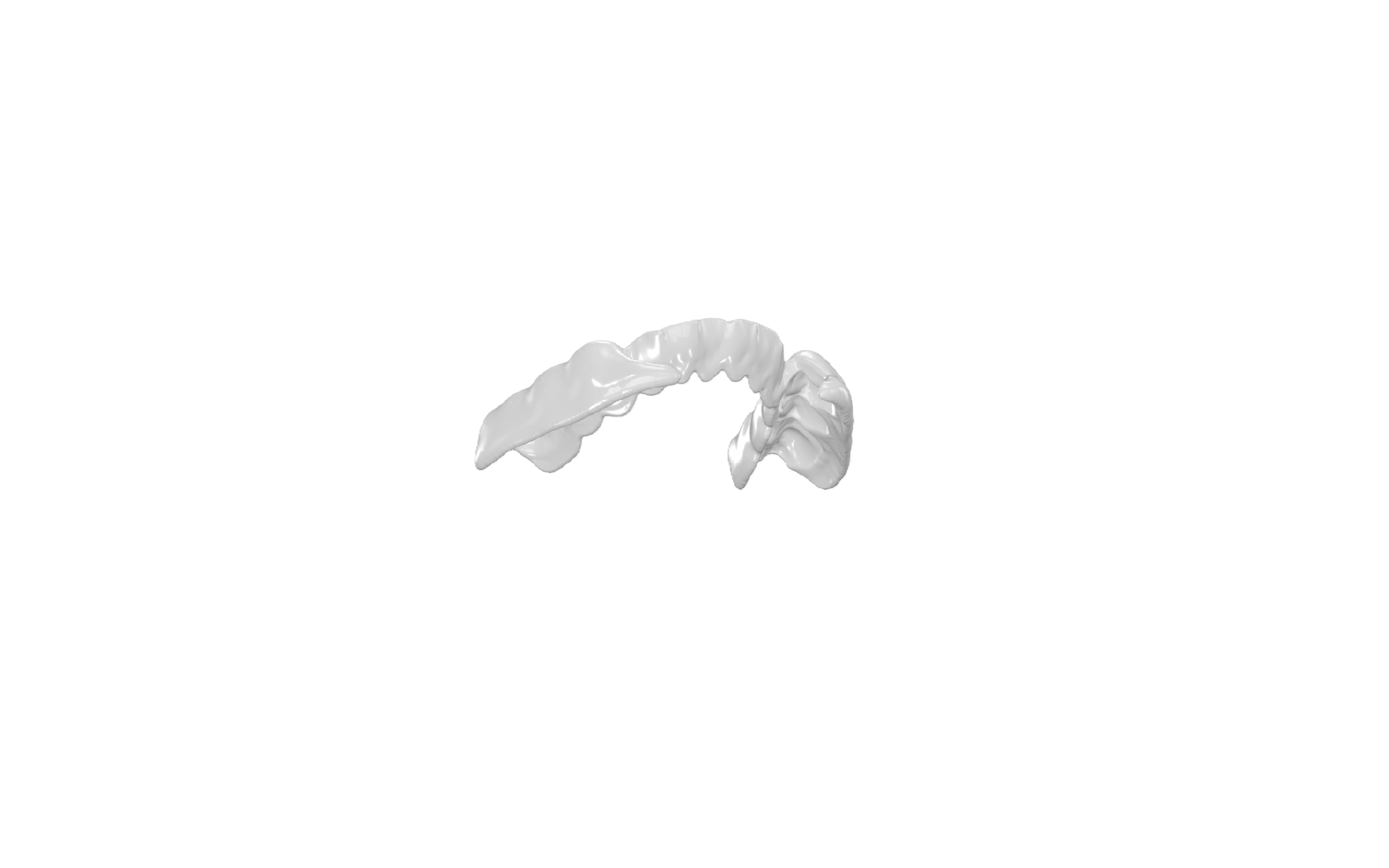 Performance Mouthguard (Middleweight)