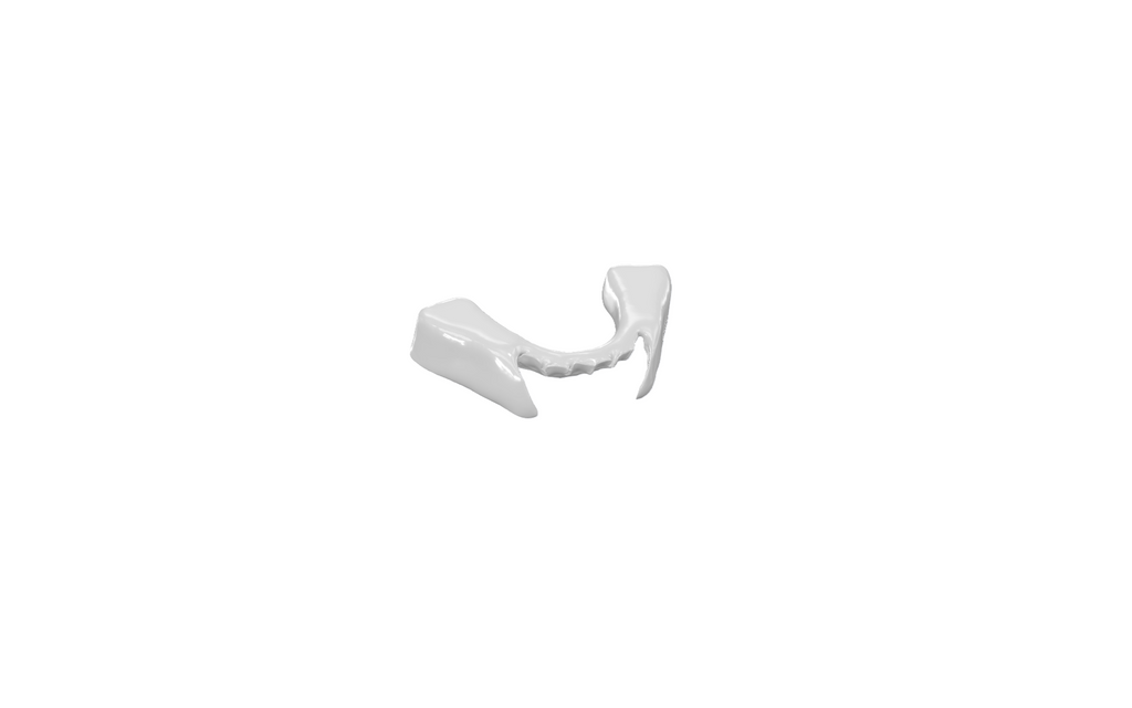 Performance Mouthguard (Heavyweight)